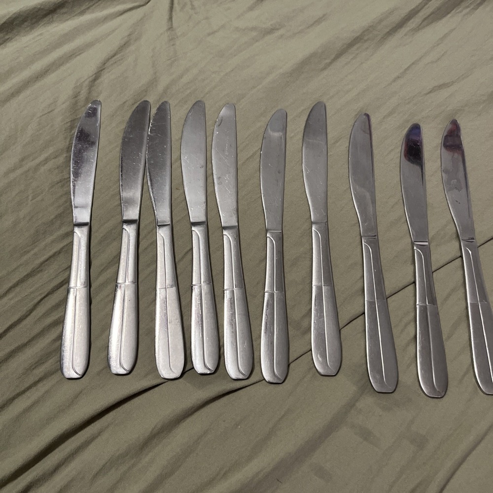 Cambridge Stainless Flatware CBS176  10 Dinner Knives